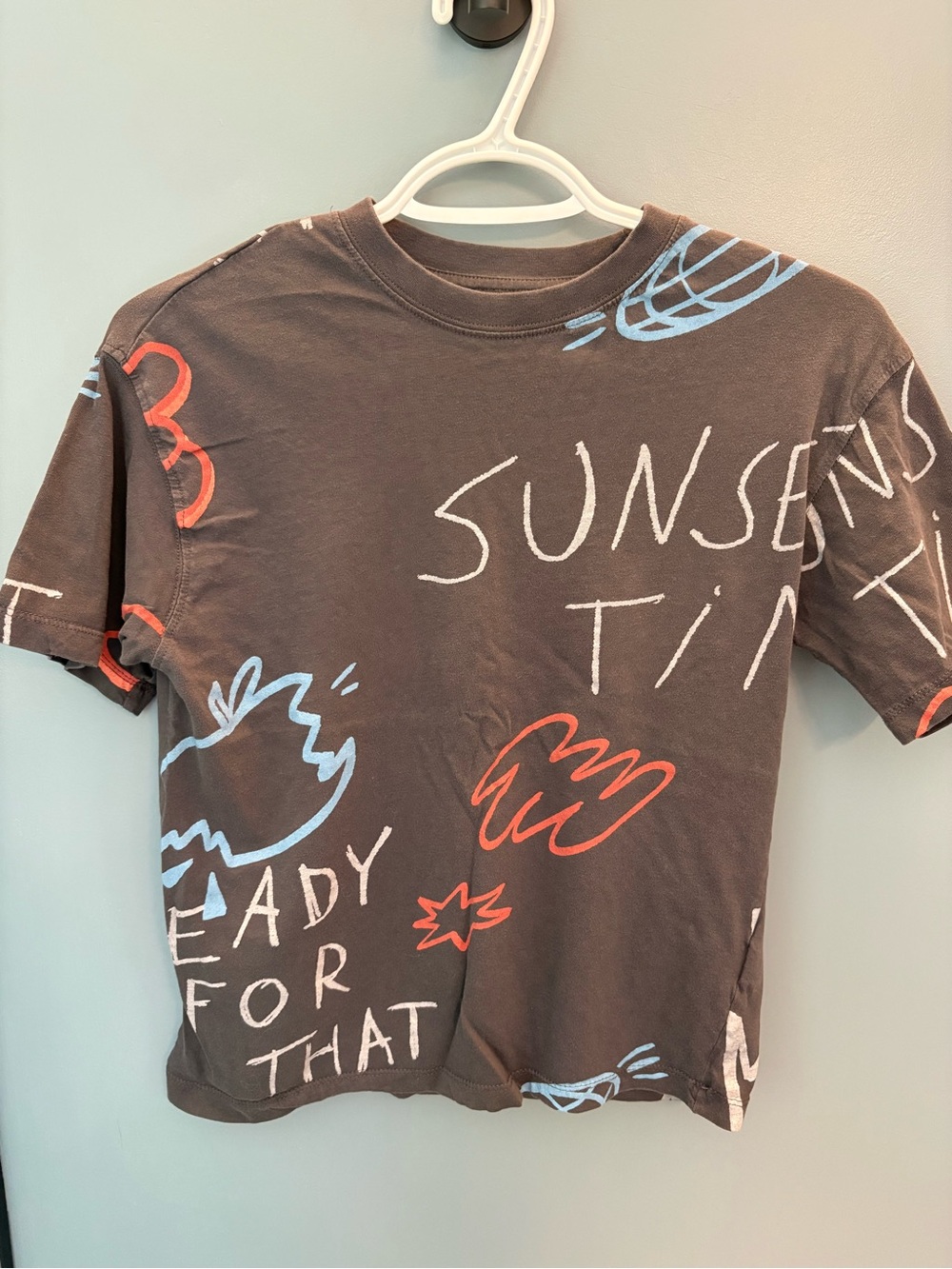Zara Charcoal Graphic Tee Sz 9/10